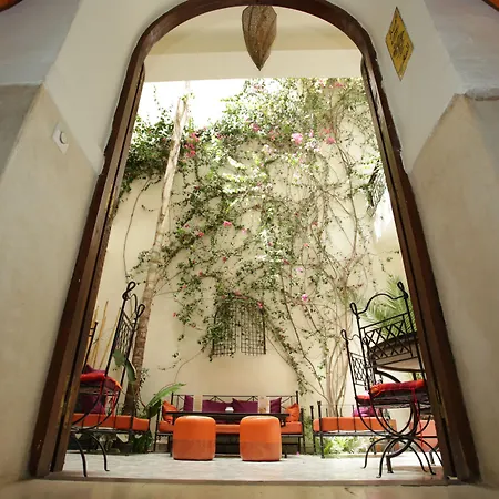 Riad White Flowers-3