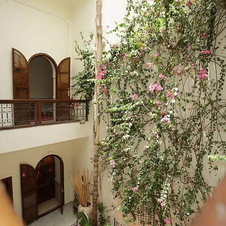 Riad White Flowers-2